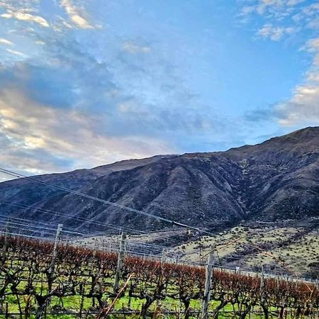 Апартаменты Gibbston - Wake Up In The Vines Экстерьер фото
